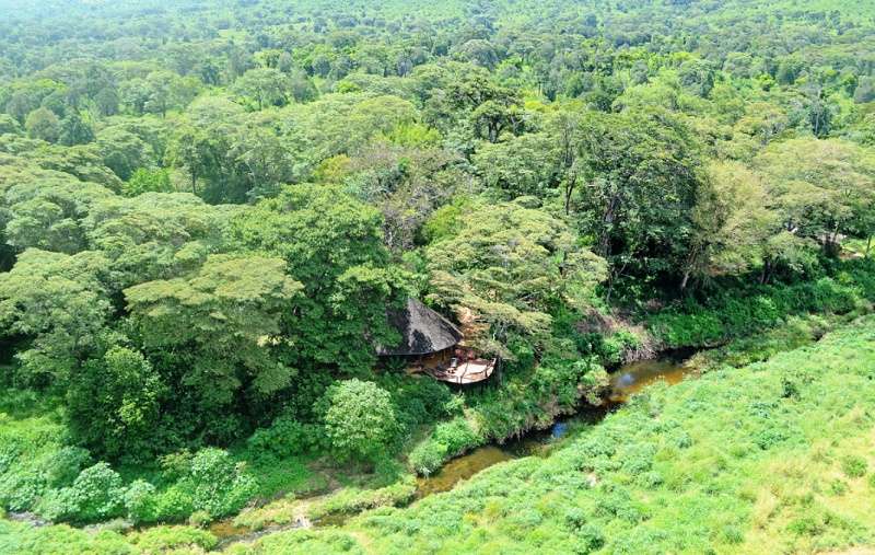 Aerial view of Kitich Forest Camp